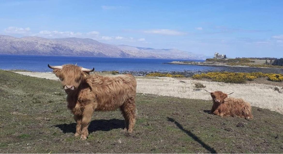 Ard Na Mara Self Catering Isle Of Mull Villa Dervaig Dış mekan fotoğraf